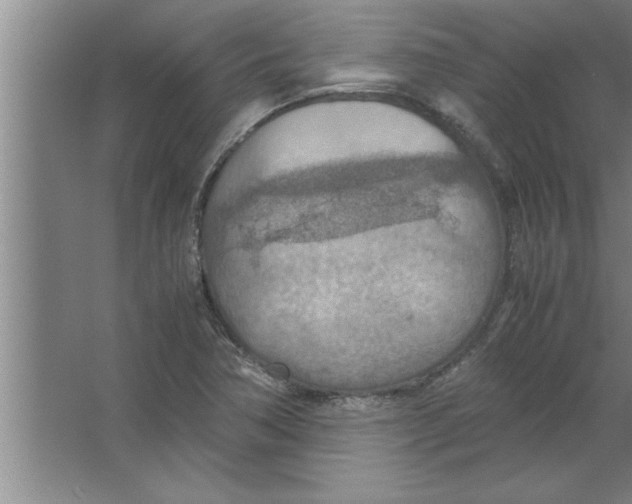 X0000067481362200604281909