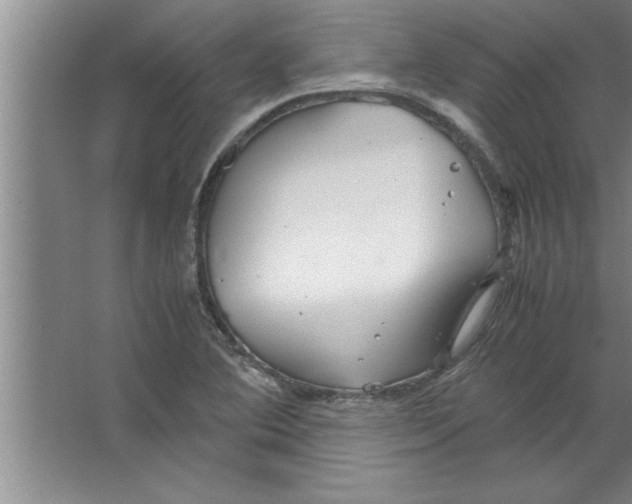 X0000067481364200604281909