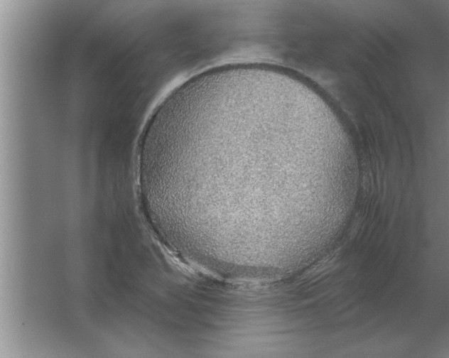 X0000067481366200604281909