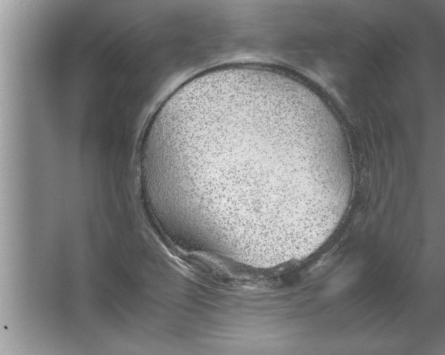 X0000067481367200604281909