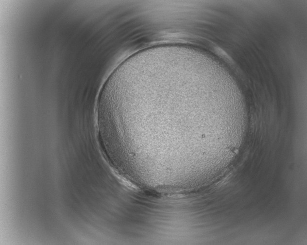 X0000067481370200604281909