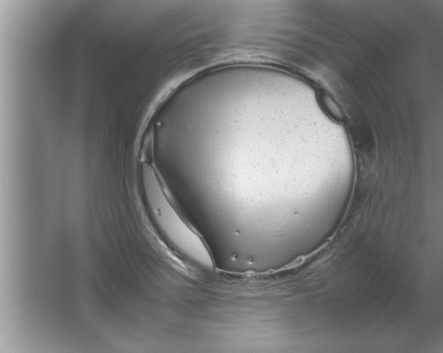 X0000067481371200604281909