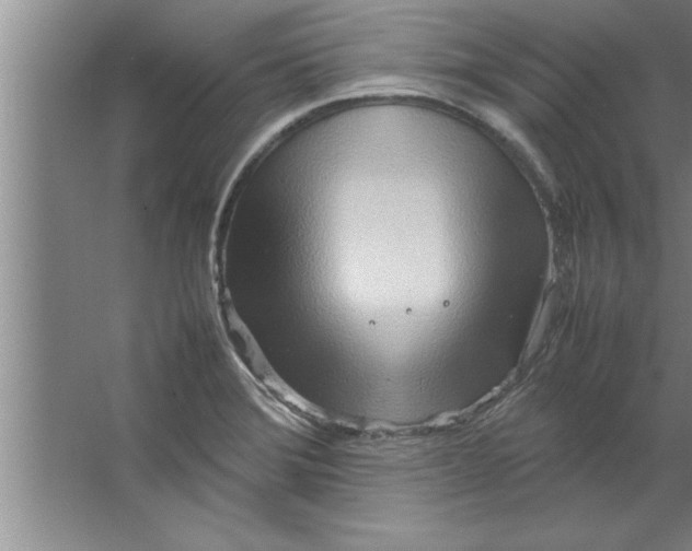 X0000067481372200604281909