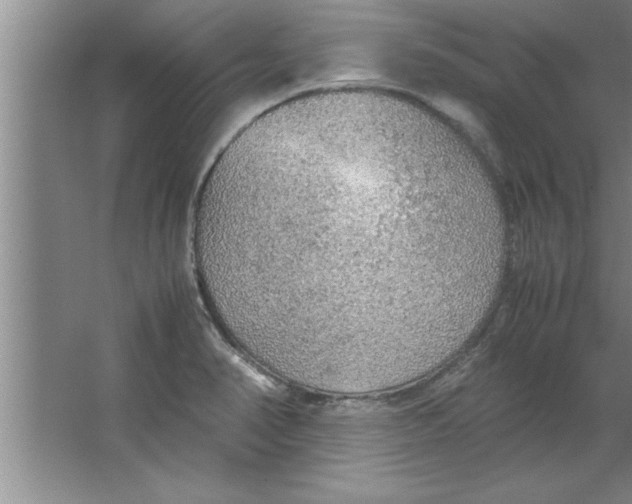 X0000067481374200604281909