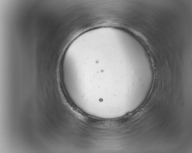 X0000067481375200604281909