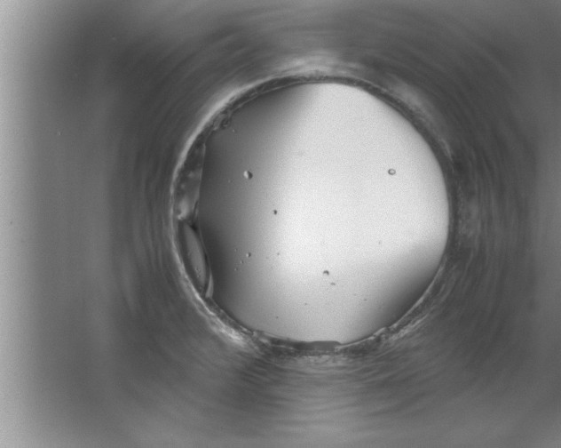 X0000067481376200604281909