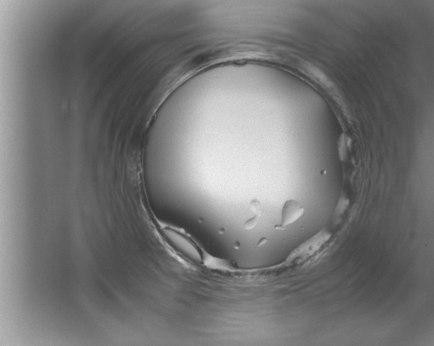 X0000067481377200604281909