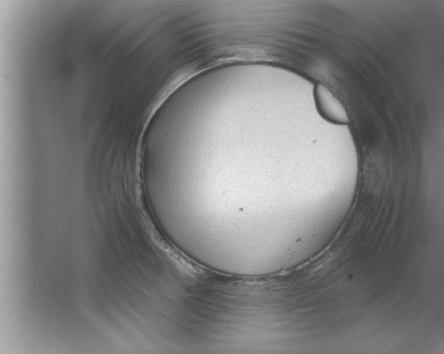 X0000067481378200604281909