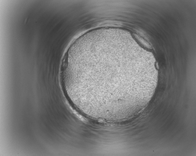 X0000067481379200604281909