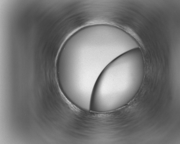 X0000067481380200604281909