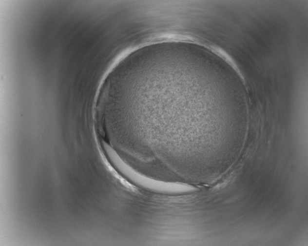 X0000067481381200604281909