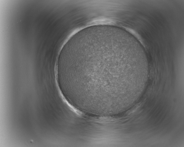 X0000067481383200604281909