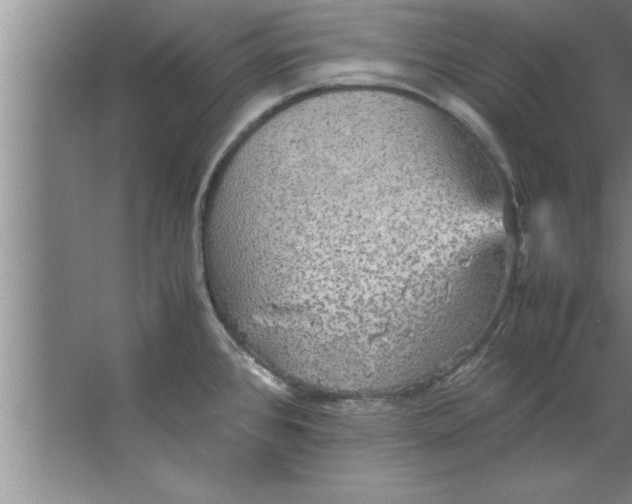 X0000067481384200604281909