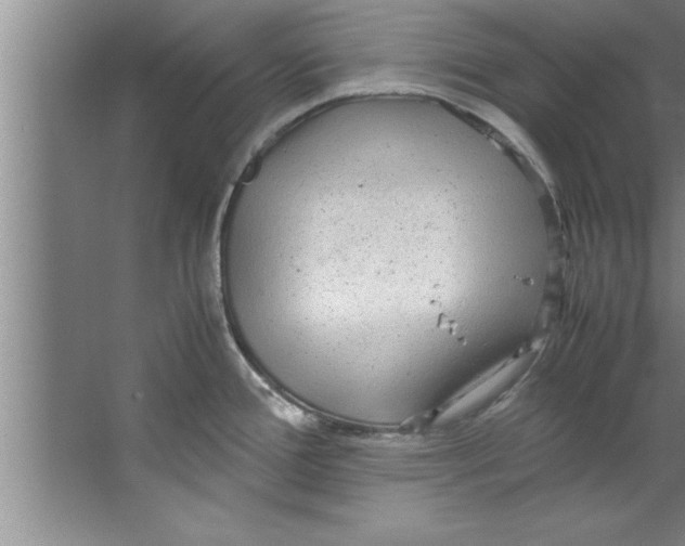 X0000067481388200604281909