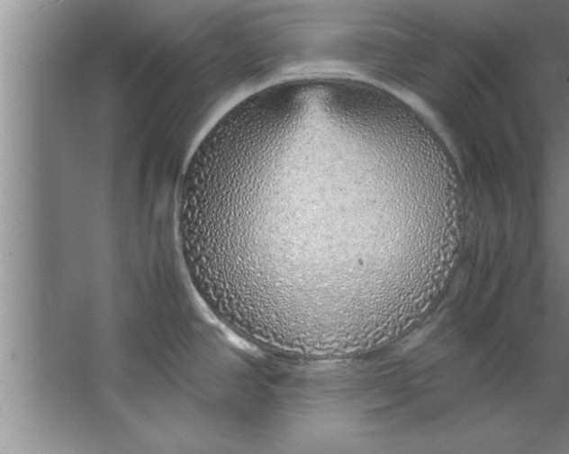 X0000067481390200604281909