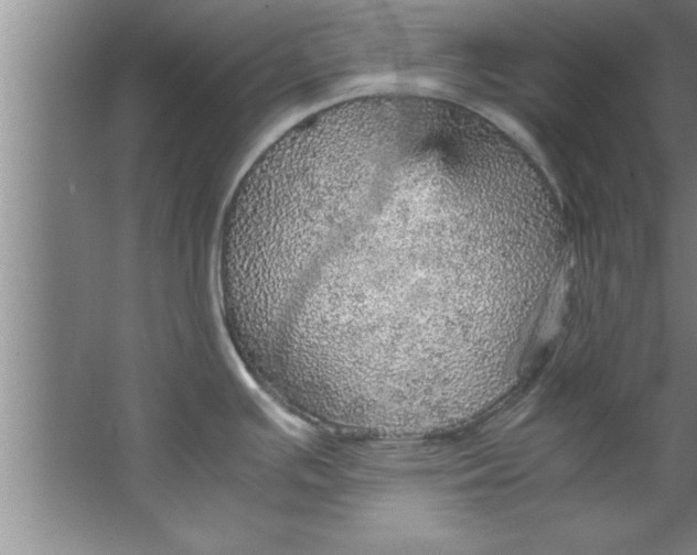 X0000067481391200604281909