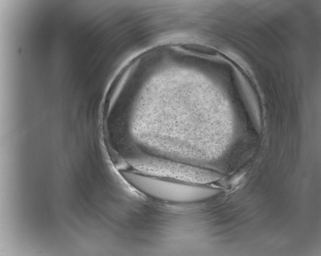 X0000067481392200604281909