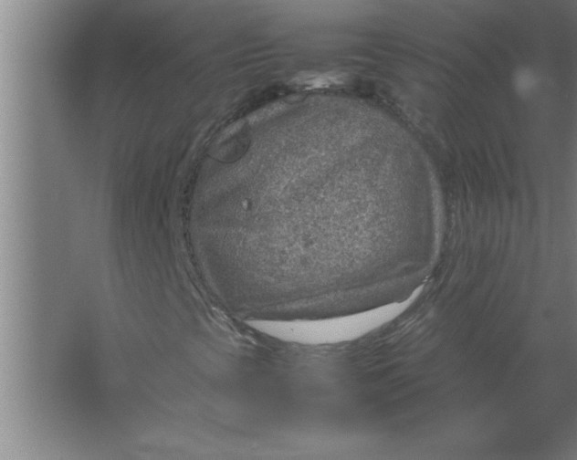 X0000067481393200604281908