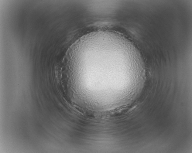 X0000067481396200604281908