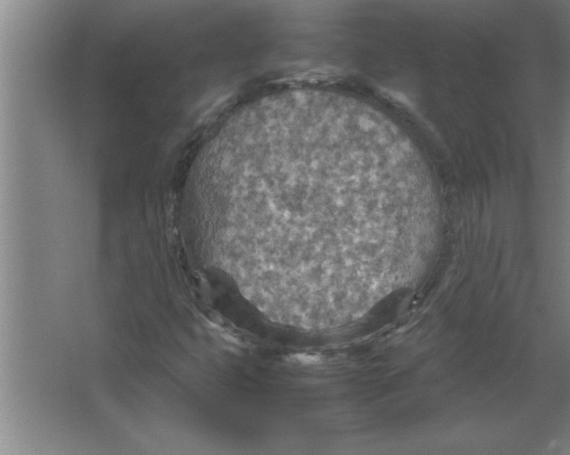 X0000067481399200604281908