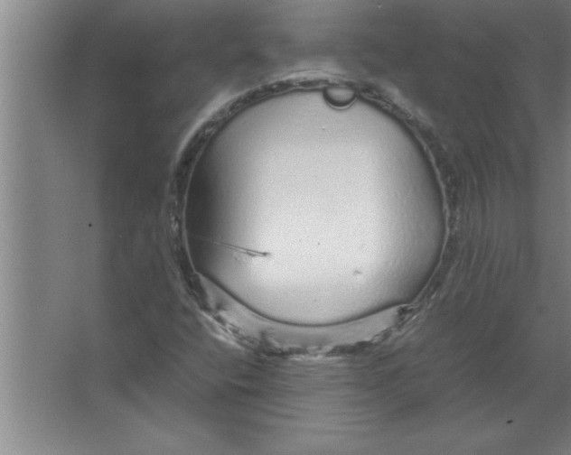 X0000067481400200604281908