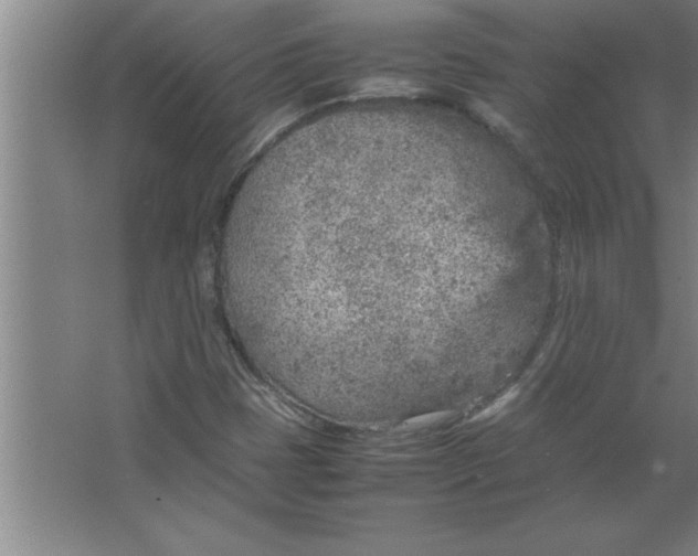 X0000067481401200604281908