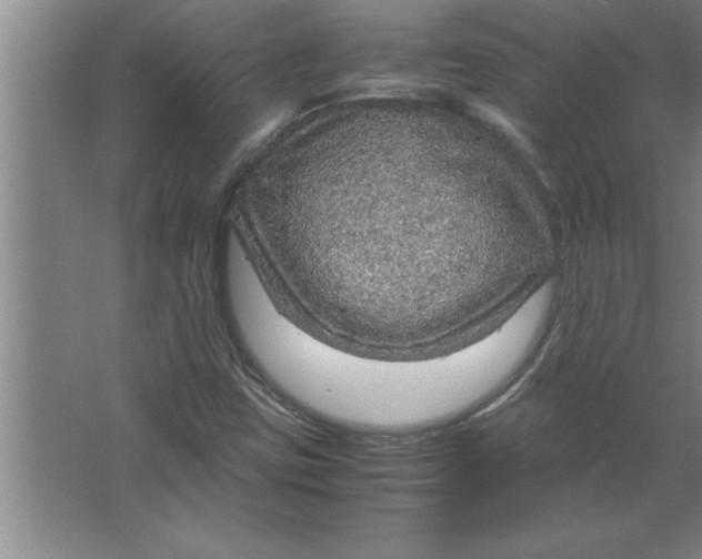 X0000067481403200604281908