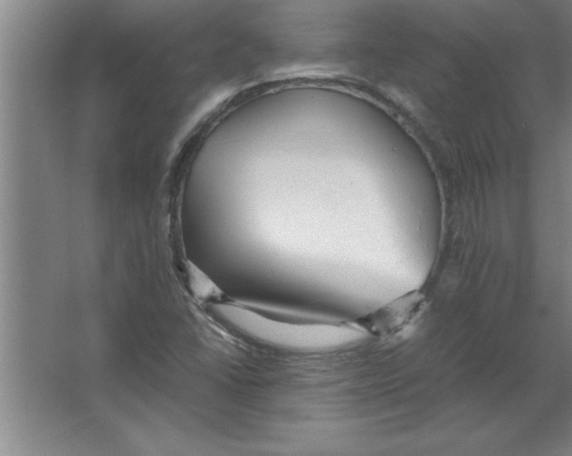 X0000067481406200604281908