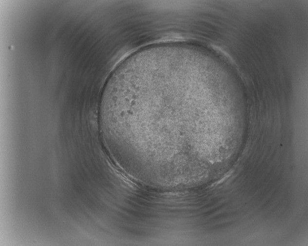 X0000067481409200604281908