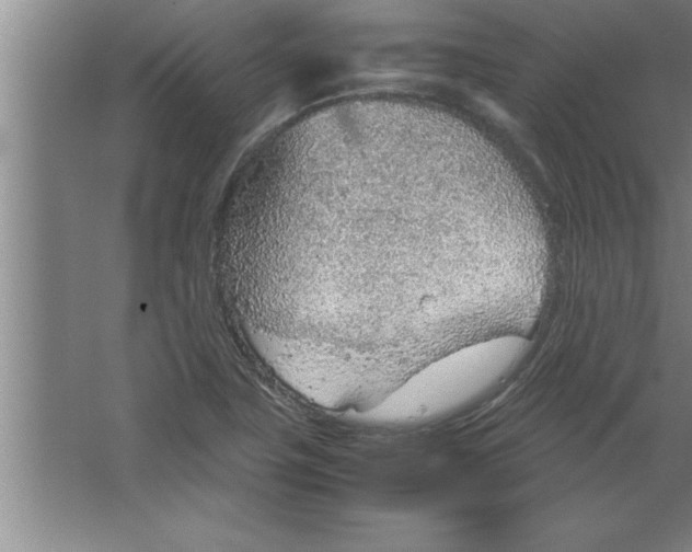 X0000067481411200604281908