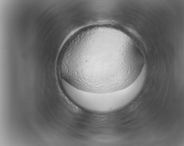 X0000067481412200604281908