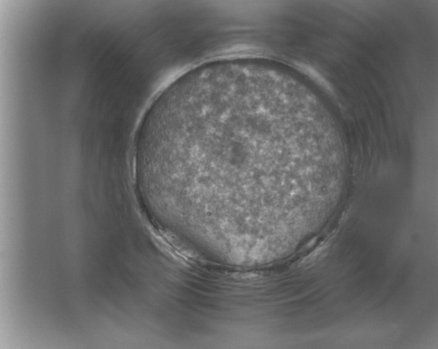 X0000067481413200604281908