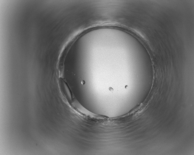 X0000067481414200604281908