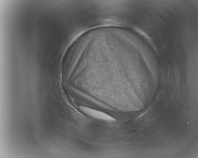 X0000067481415200604281908