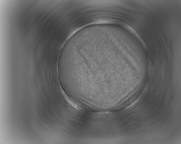 X0000067481417200604281908