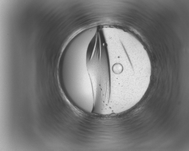 X0000067481418200604281908