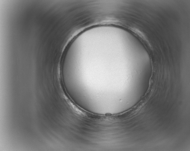 X0000067481420200604281908