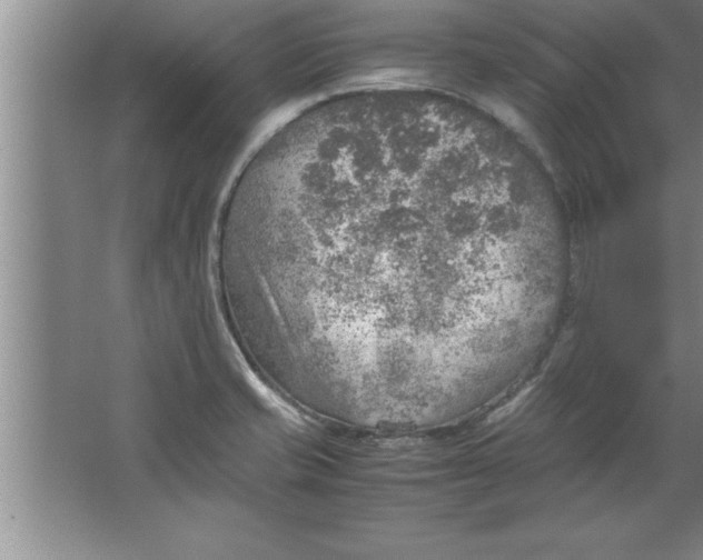 X0000067481421200604281908