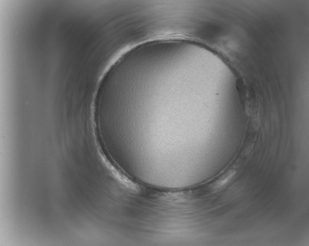 X0000067481422200604281908