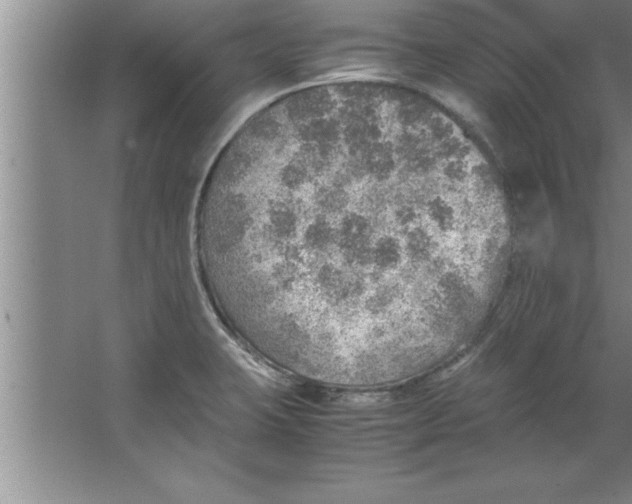 X0000067481423200604281908