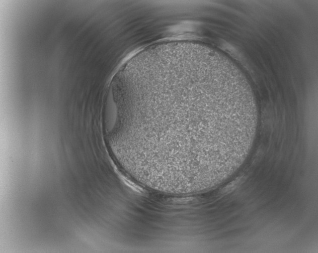 X0000067481425200604281908