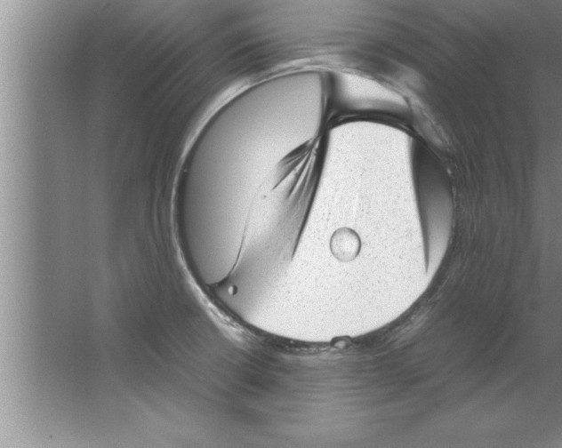 X0000067481426200604281908