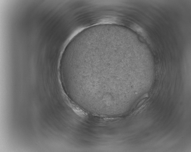 X0000067481427200604281908