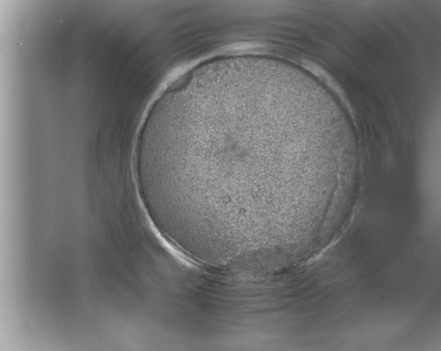 X0000067481429200604281908