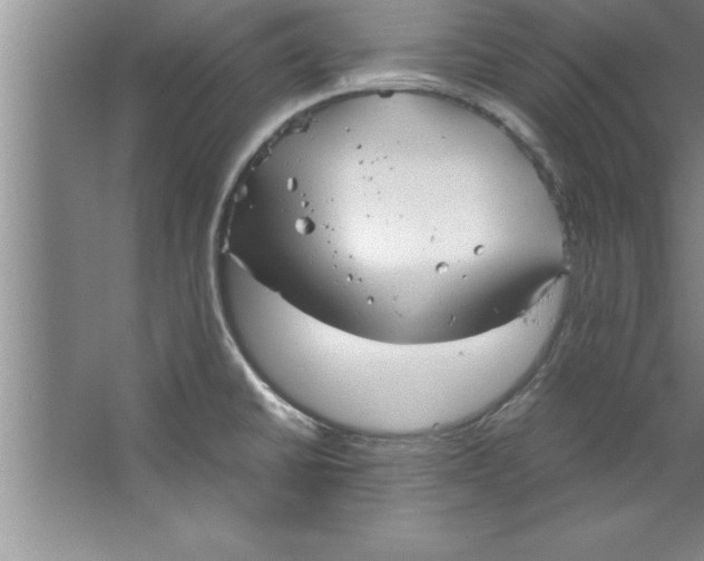 X0000067481430200604281908