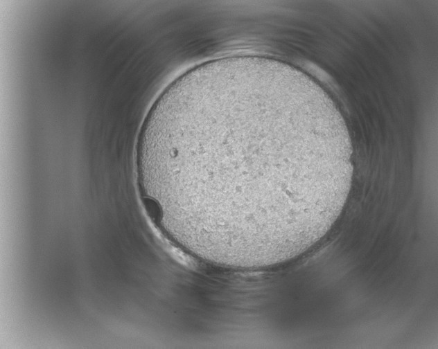 X0000067481431200604281908