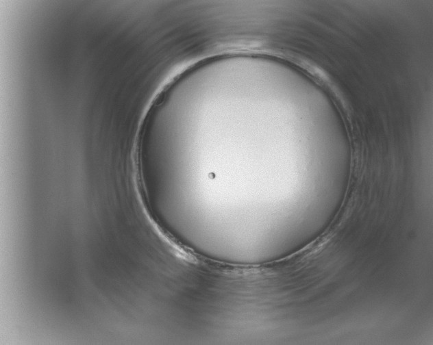 X0000067481432200604281908