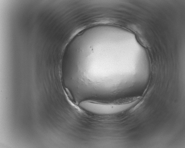 X0000067481433200604281908