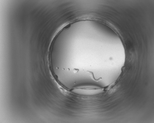 X0000067481434200604281908