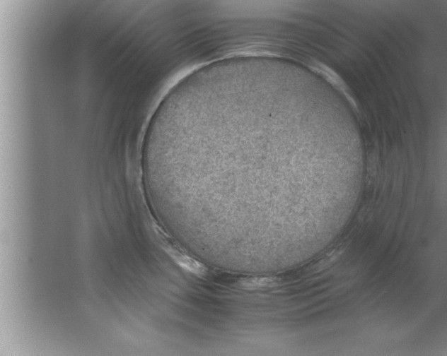 X0000067481435200604281908